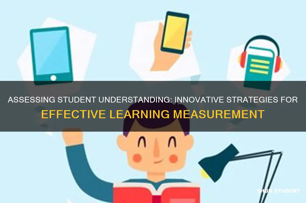 how will we measure student understanding