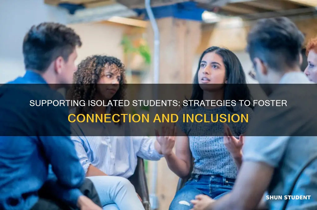how will you address a student demonstrating significant social isolation