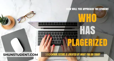Addressing Plagiarism: A Compassionate and Effective Approach for Students