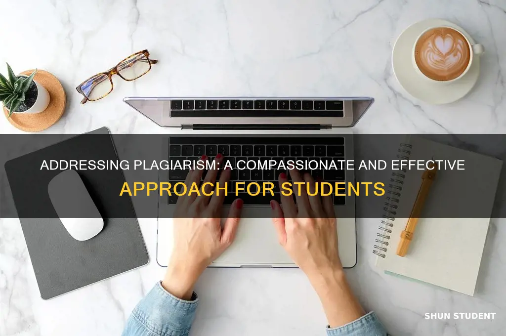 how will you approach the student who has plagerized