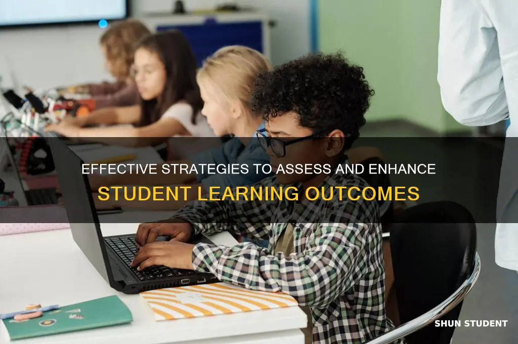 how will you assess student learning