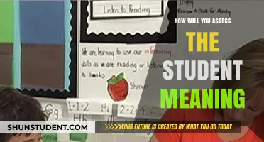 Assessing Student Meaning: Strategies for Understanding Learner Comprehension