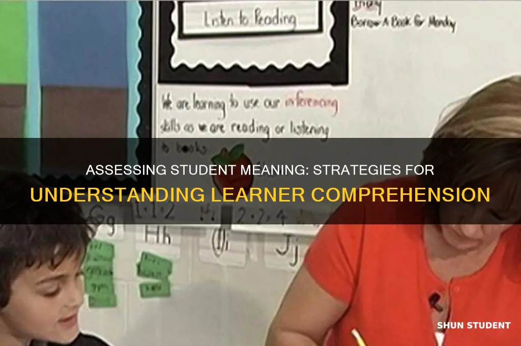 how will you assess the student meaning