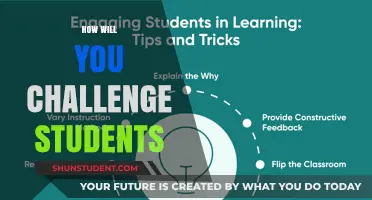 Engaging Minds: Creative Strategies to Challenge and Inspire Students Effectively