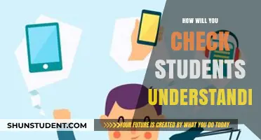 Effective Strategies to Assess and Enhance Student Understanding in Classrooms