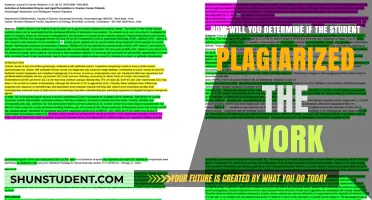 Detecting Plagiarism: Strategies to Identify Student Work Authenticity