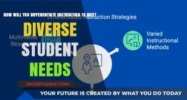 Tailoring Teaching Strategies to Address Diverse Student Learning Needs