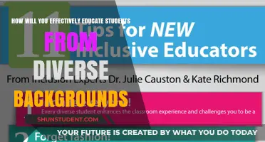 Inclusive Teaching Strategies for Engaging Diverse Student Populations Effectively