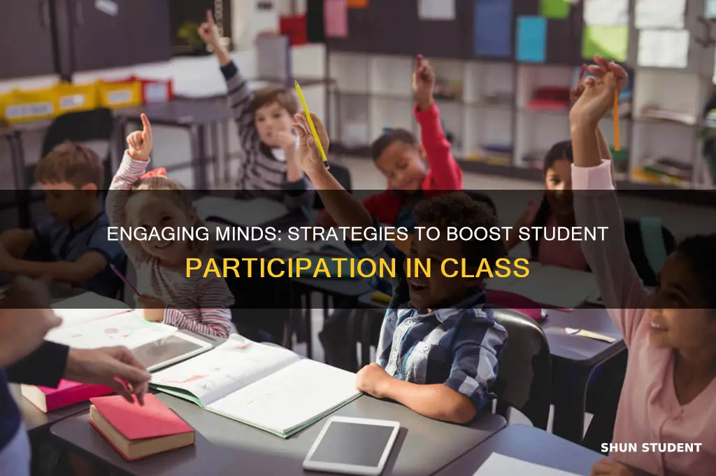 how will you encourage students to participate in class