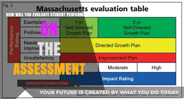Effective Strategies to Evaluate Student Performance on Assessments