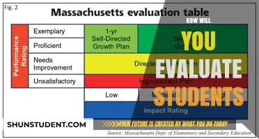 Effective Strategies for Evaluating Student Performance and Progress