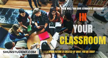 Empowering Learners: Strategies to Foster Student Autonomy in the Classroom
