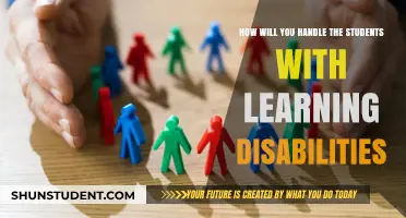 Empowering Students with Learning Disabilities: Strategies for Inclusive Education