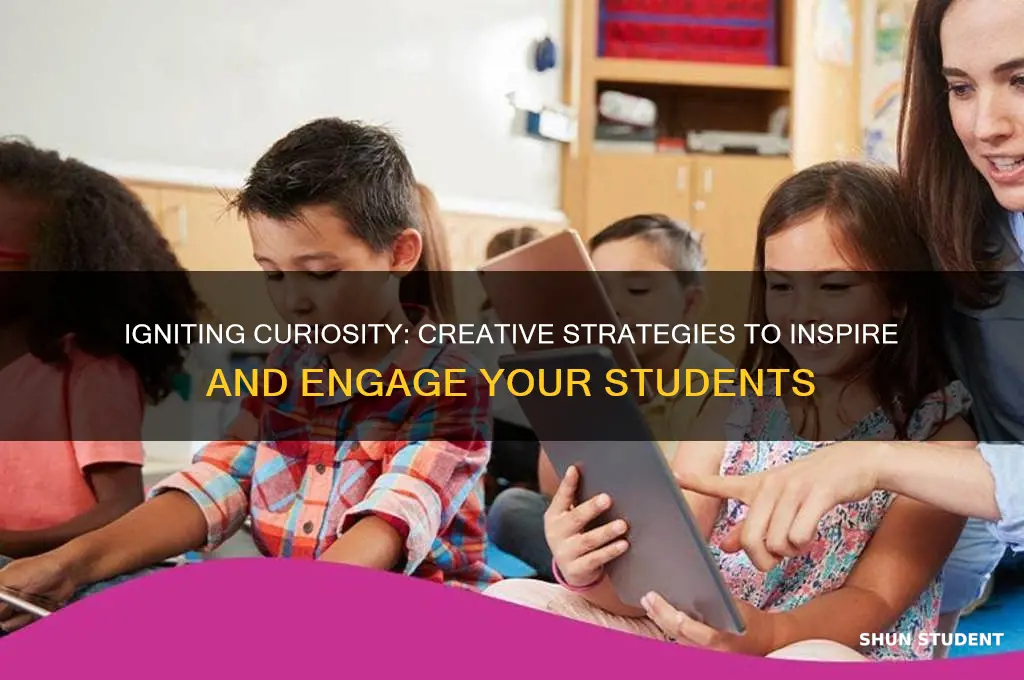 how will you inspire your students