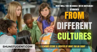 Bridging Cultural Gaps: Effective Strategies for Interacting with Diverse Students