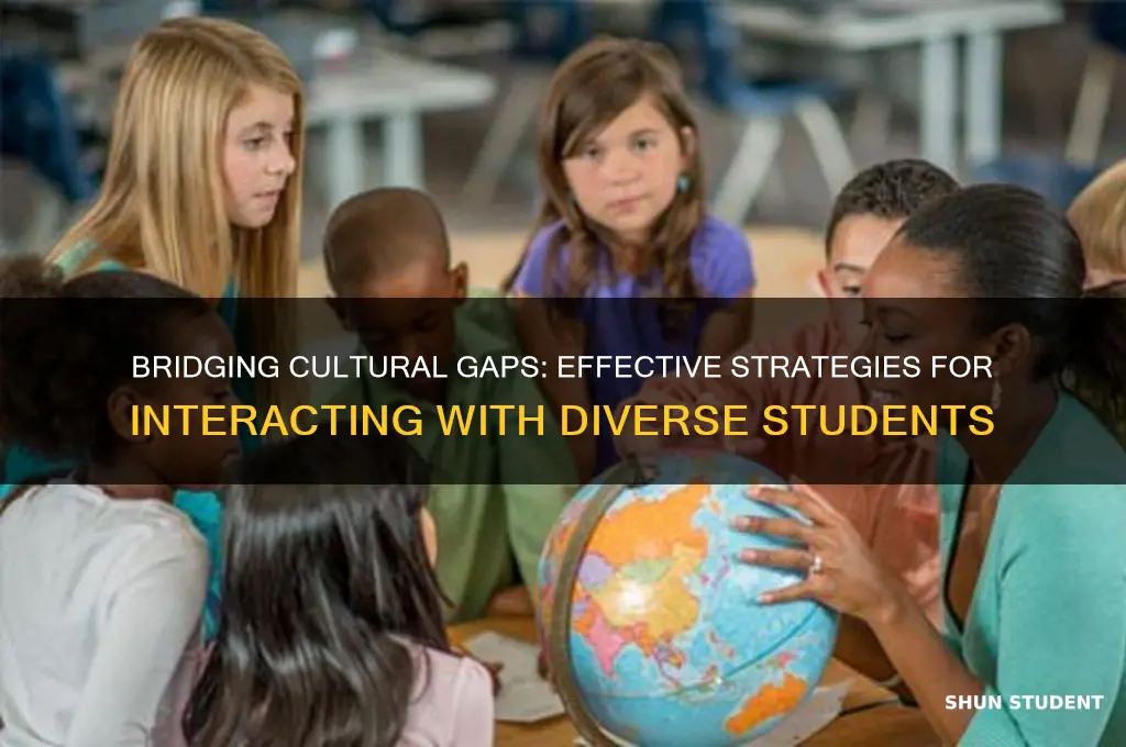 how will you interact with different students from different cultures
