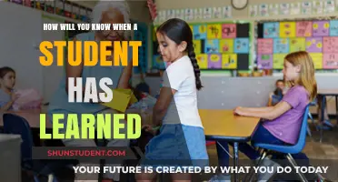Recognizing Student Learning: Key Indicators of Mastery and Growth