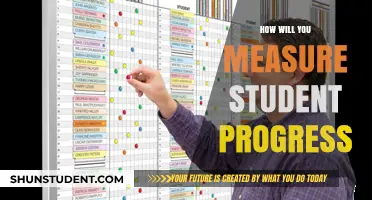 Effective Strategies to Track and Evaluate Student Progress in Learning