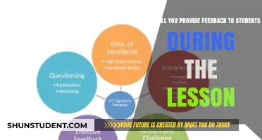 Effective In-Lesson Feedback Strategies to Enhance Student Learning and Growth
