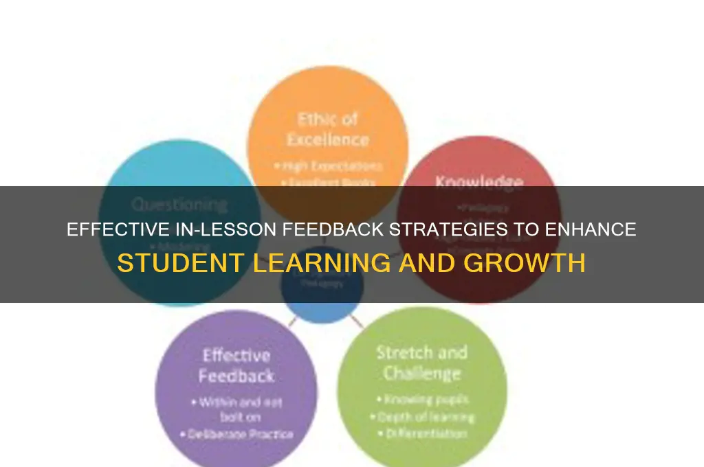 how will you provide feedback to students during the lesson