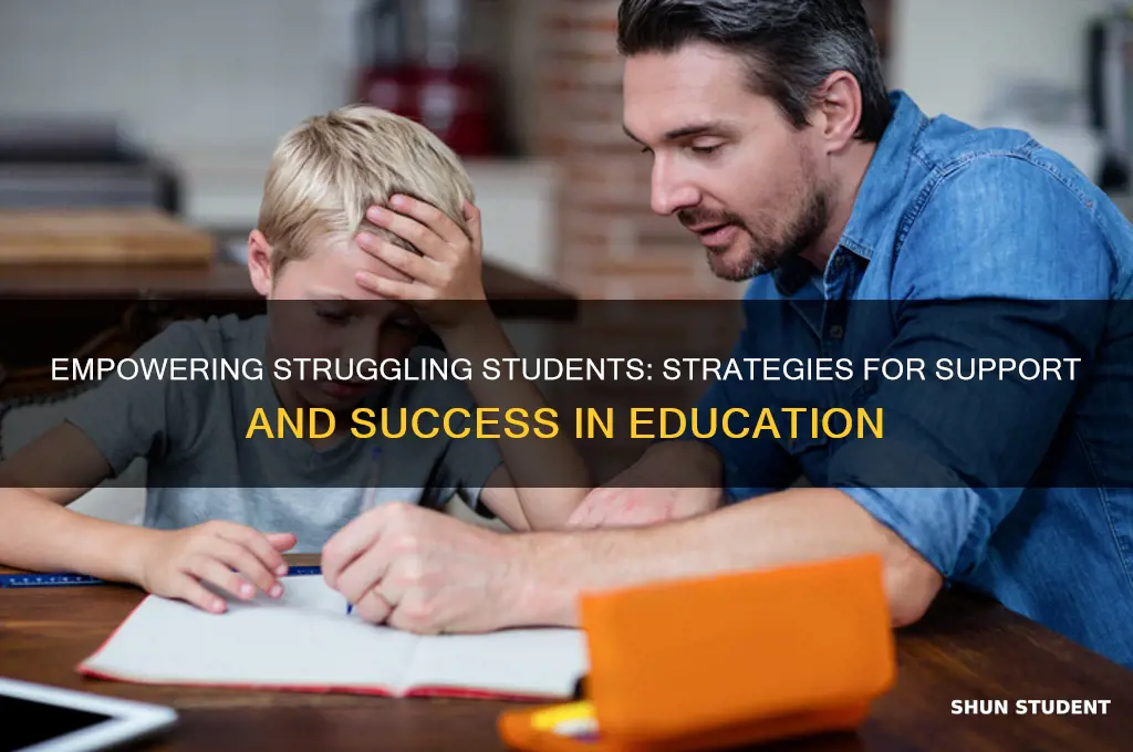 how will you support students who are struggling