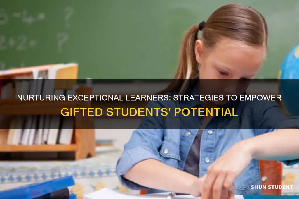 how will you support students with exceptional learning ability