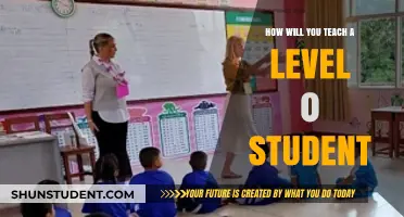 Teaching Level 0 Students: Effective Strategies for Beginner Learners