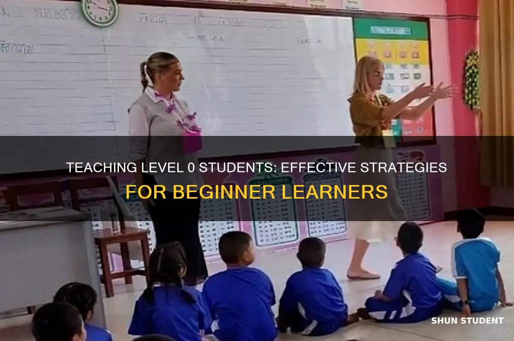 how will you teach a level 0 student