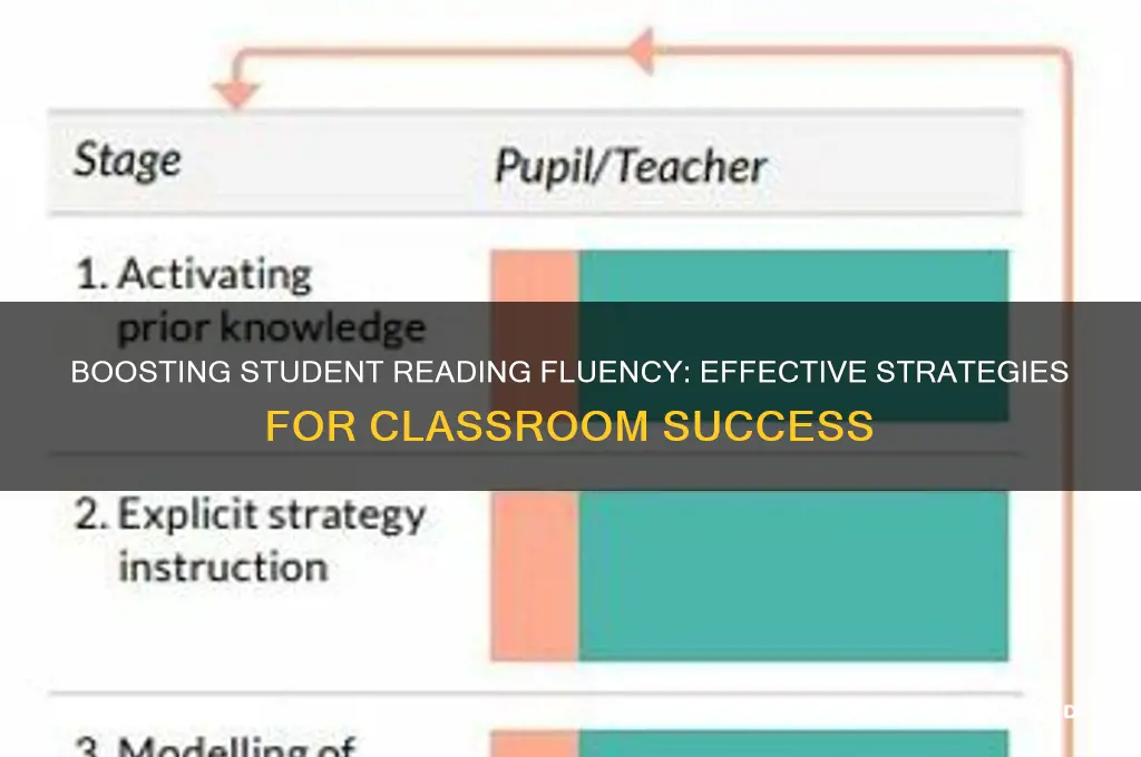 how will you use reading fluency with students