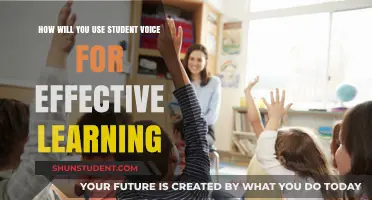 Amplifying Student Voice: Strategies for Engaging and Effective Learning