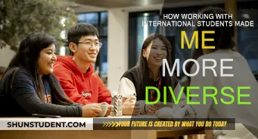 Diversity Lessons from Working with International Students