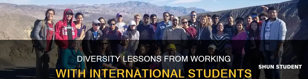 how working with international students made me more diverse