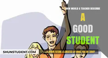 Qualities of an Ideal Student: A Teacher's Perspective and Insights