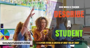 How Teachers Describe Students: Insights into Classroom Personalities and Traits