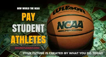 Fair Play: How the NCAA Could Pay Student Athletes