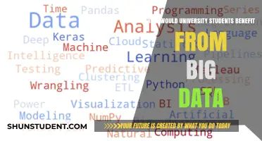 Big Data: Empowering University Students for the Future