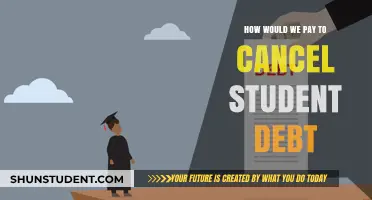 Funding Student Debt Cancellation: Exploring Sustainable and Equitable Payment Solutions