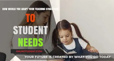Tailoring Teaching Strategies: Meeting Diverse Student Needs Effectively