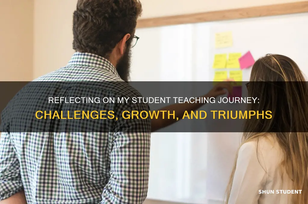 how would you describe your student teaching experience