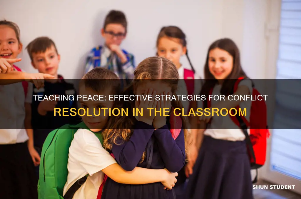 how would you teach conflict resolution to your students