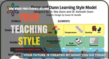 How Students Perceive My Teaching Style: Insights and Reflections