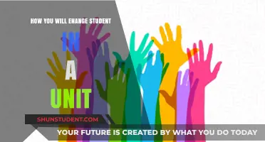 Engaging Students: Creative Strategies to Boost Unit Participation and Learning