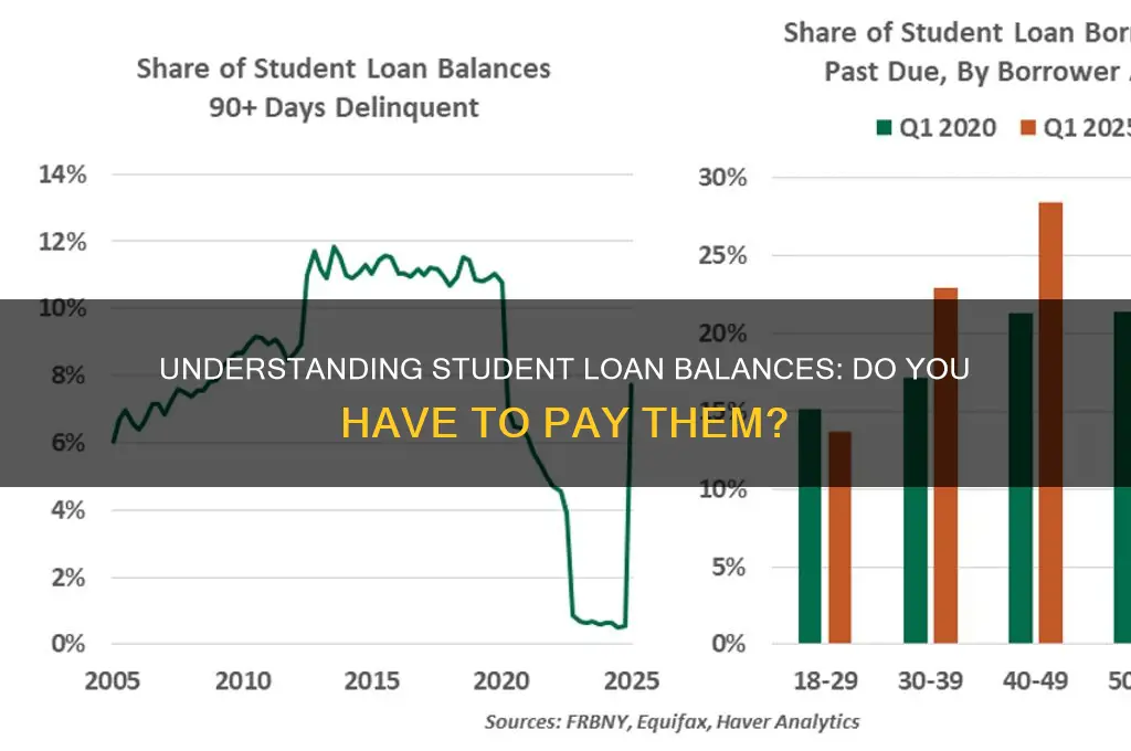 is a balance something you have to pay student loans