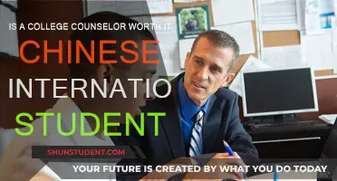 College Counselors: Help or Hindrance for Chinese Students?