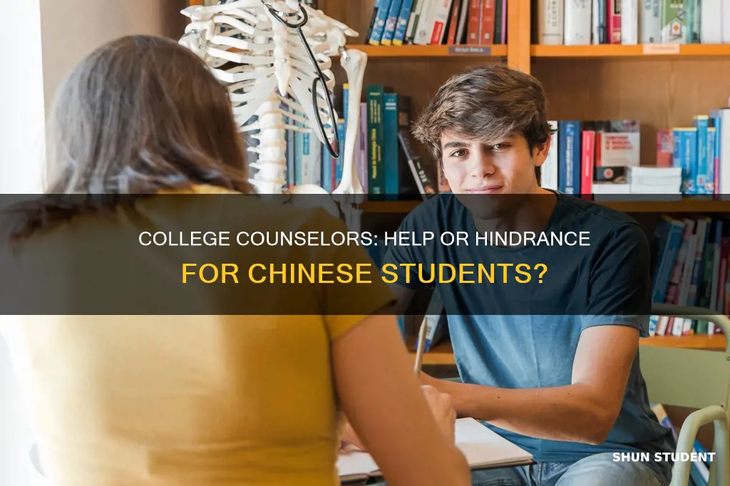 is a college counselor worth it chinese international student
