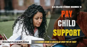 College Students and Child Support: Legal Obligations Explained