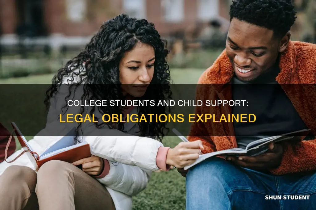 is a college student required to pay child support