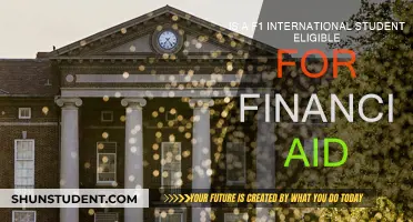 F1 Student Financial Aid: What's Available and How to Apply?
