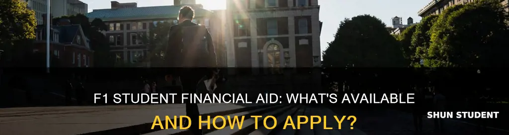 is a f1 international student eligible for financial aid