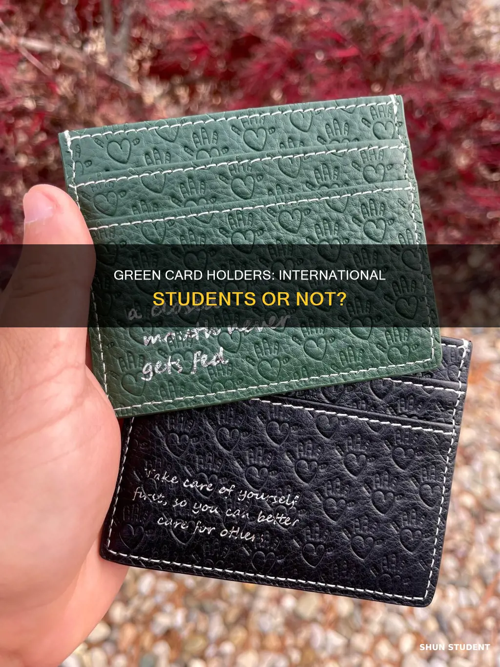 is a green card holder considered an international student